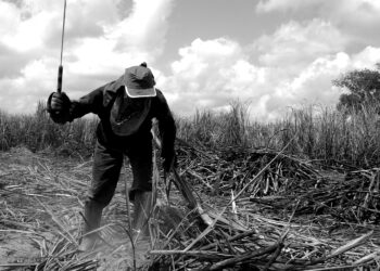Anadef apoia defensoras e defensores que combatem trabalho análogo à escravidão