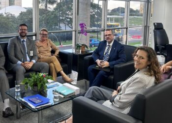 ANADEF participa de reunião com a Secretária Nacional de Justiça e com o Secretário de Assuntos Legislativos do MJSP