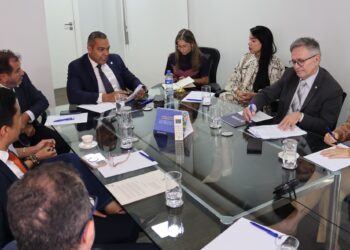 ANADEF integra reunião de entidades jurídicas para discutir impactos da decisão do STF