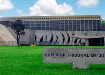 Decisão relevante no STJ: ANADEF é aceita como Amicus Curae em processo sobre atuação da Defensoria Pública na proteção de direitos de grupos vulneráveis
